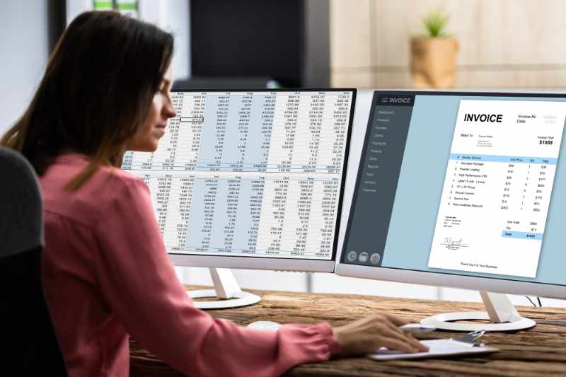 software akuntansi